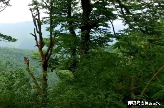 沈丘县妇联举行“HELLO小孩”公益项目爱心套餐发放仪式